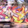 Risk Interview