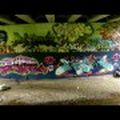 Timelapse Wall